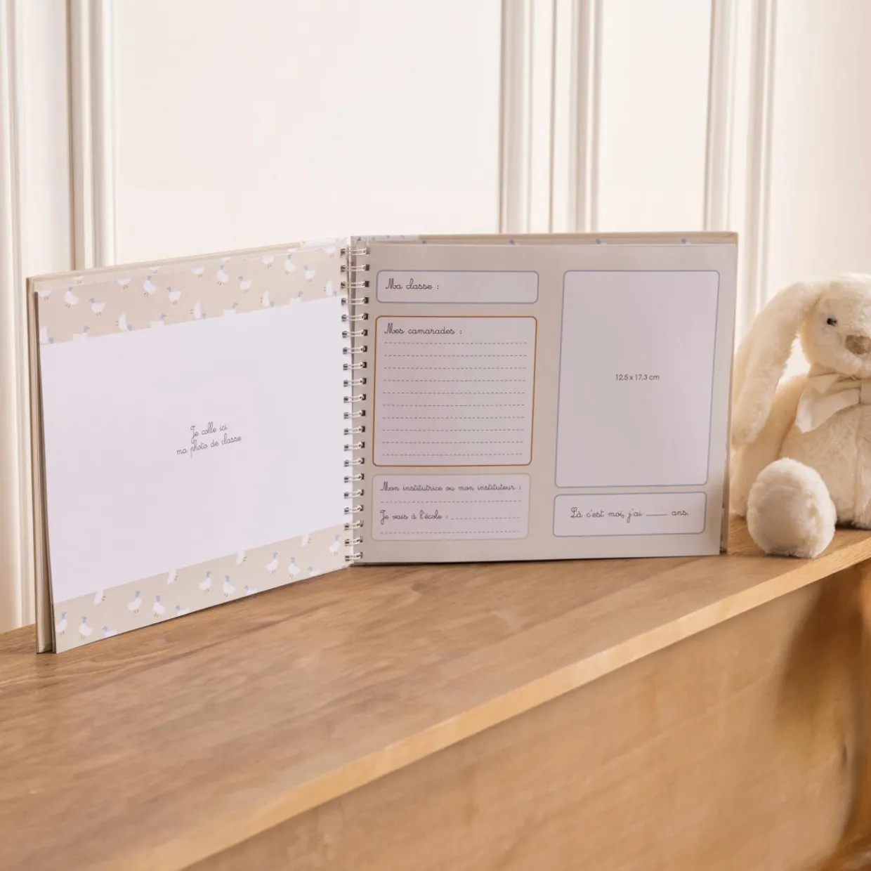 Album photos de classe 15 photos (H32,5 cm) School Multicolore