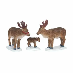 Animaux Lemax Famille de Rennes