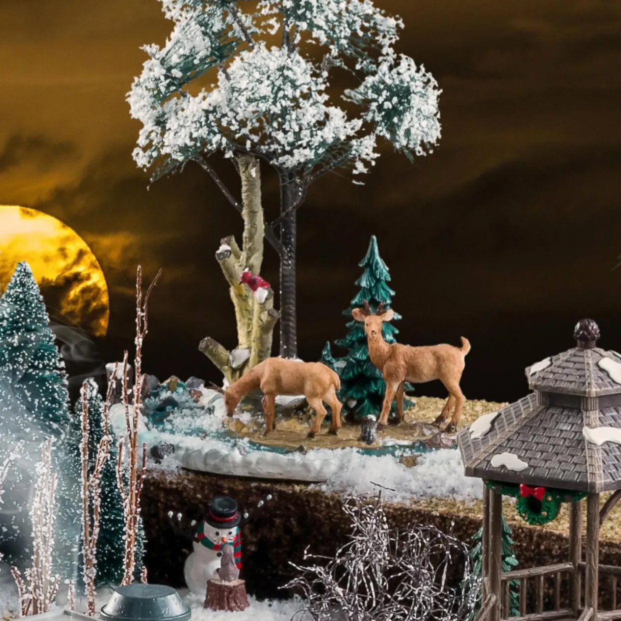 Animaux Lemax Pause Repas