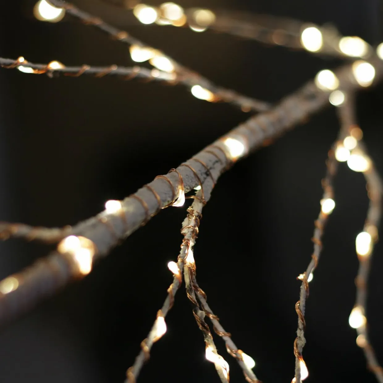 Arbre lumineux 750 LED (H220 cm) Bouleau Blanc chaud