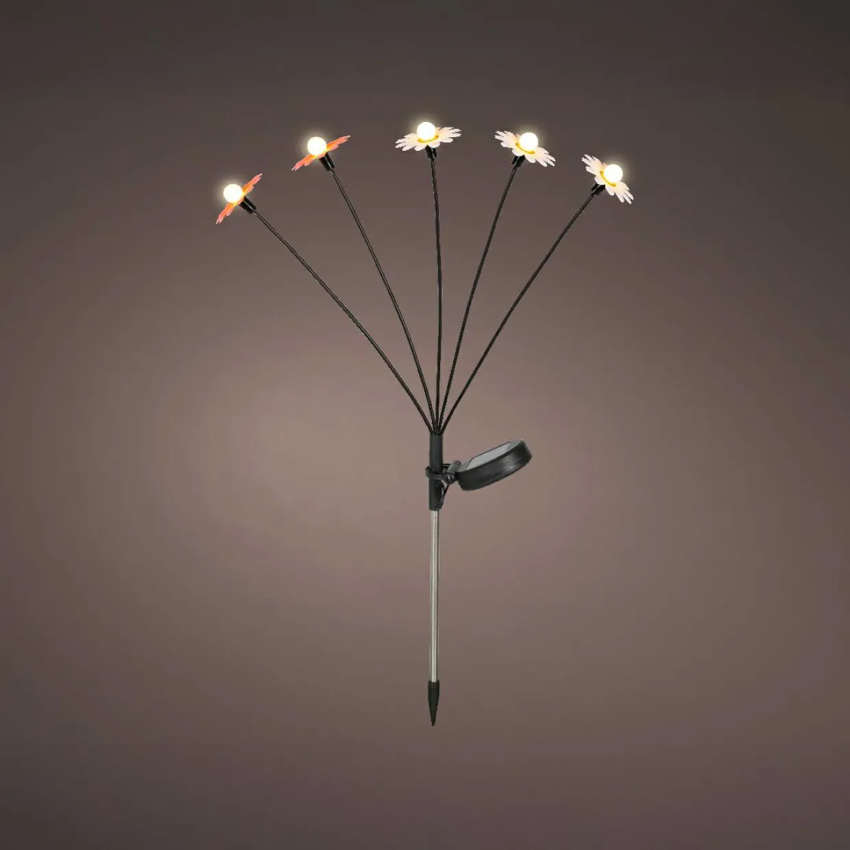 Décoration lumineuse Solaire à piquer au sol (H60 cm) Marguerites Rouge et blanc chaud