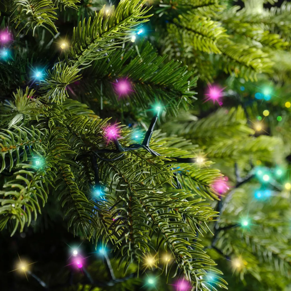 Guirlande lumineuse 11 m 500 LED câble vert Luxe Multicolore pastel