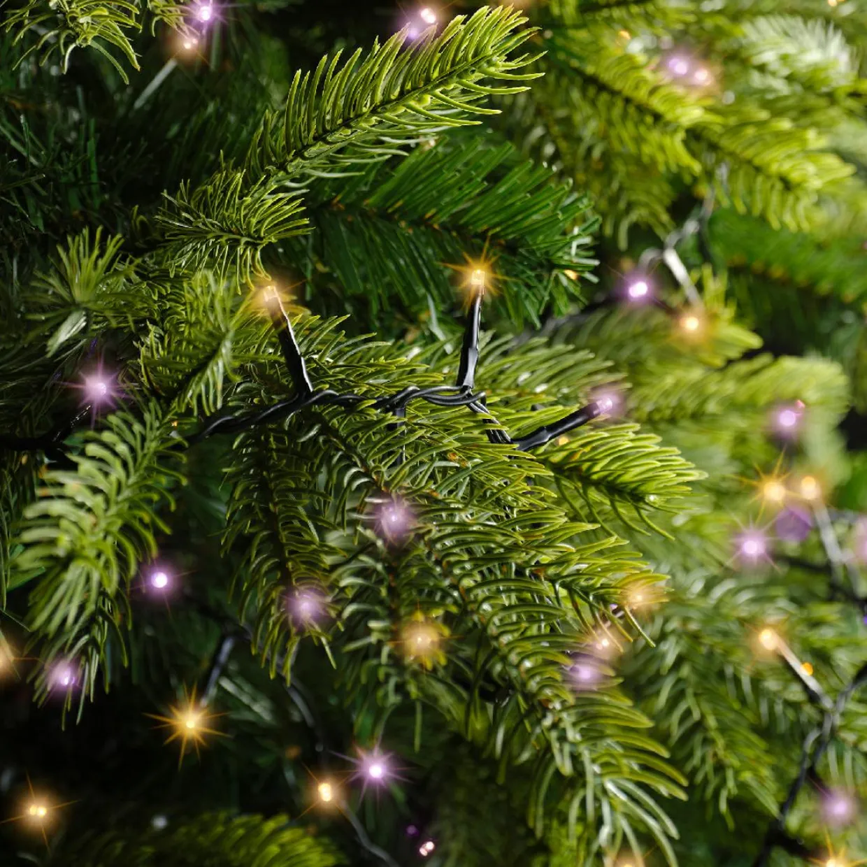 Guirlande lumineuse 22,5 m 1000 LED câble noir Luxe Bicolore Orange et violet