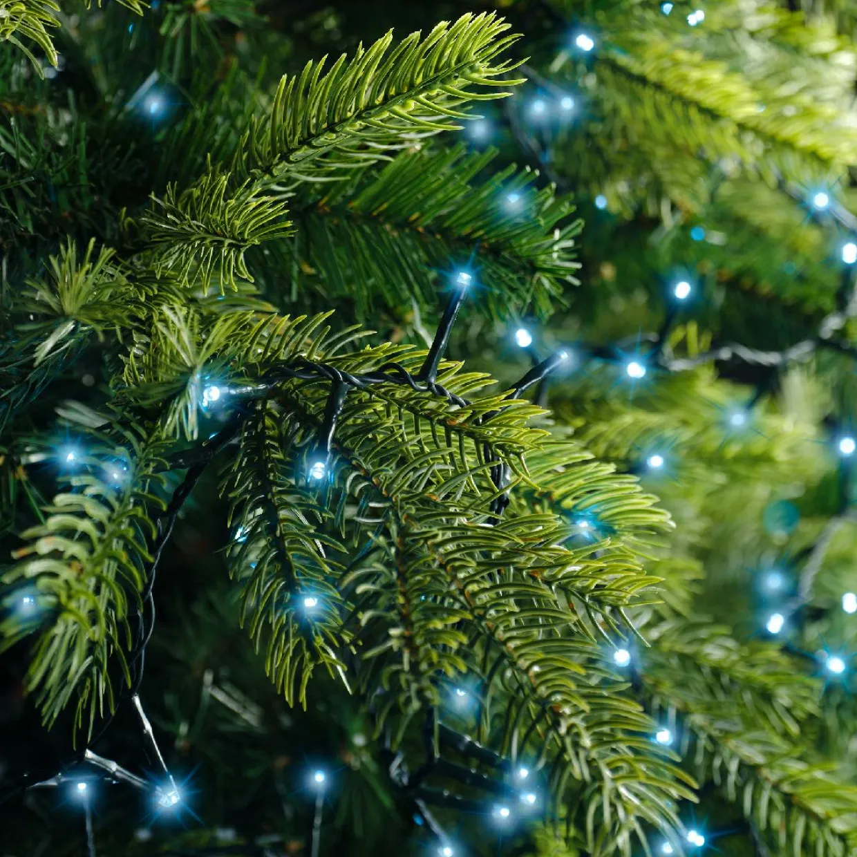 Guirlande lumineuse 22,5 m 1000 LED câble vert Luxe Bleu