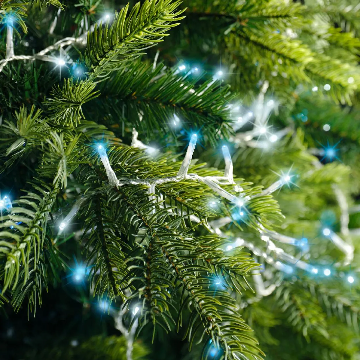 Guirlande lumineuse 22,5 m 1000 LED câble transparent Luxe Bicolore Blanc et bleu