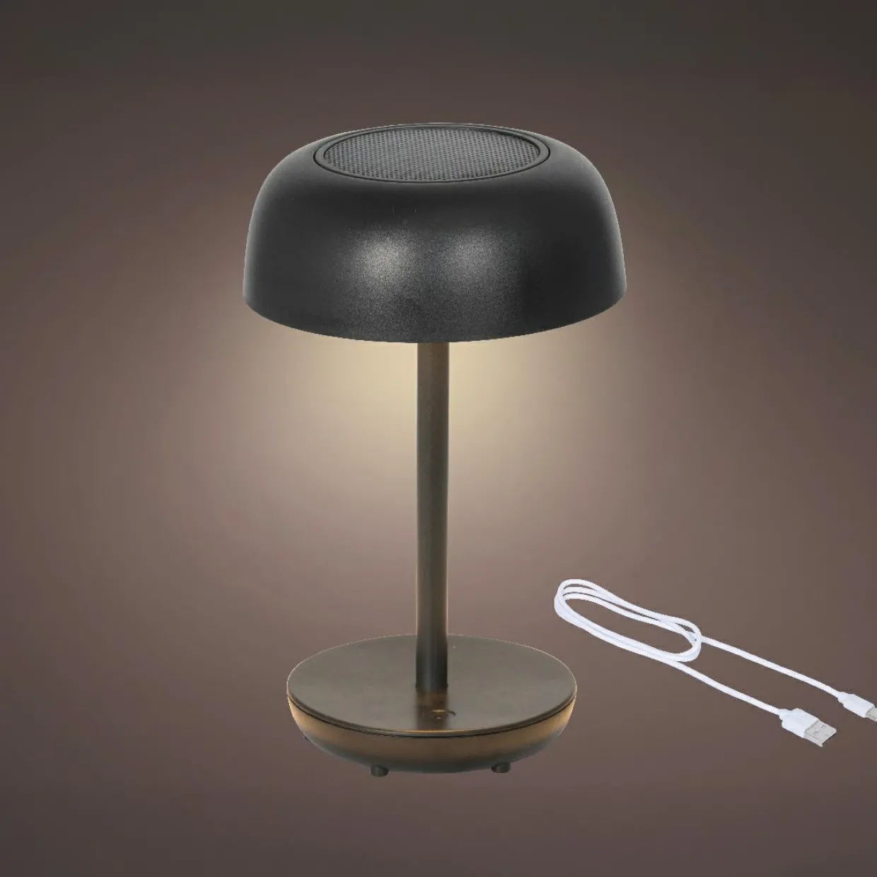 Lampe de table solaire 100 lumens (H29 cm) Singapour Noir