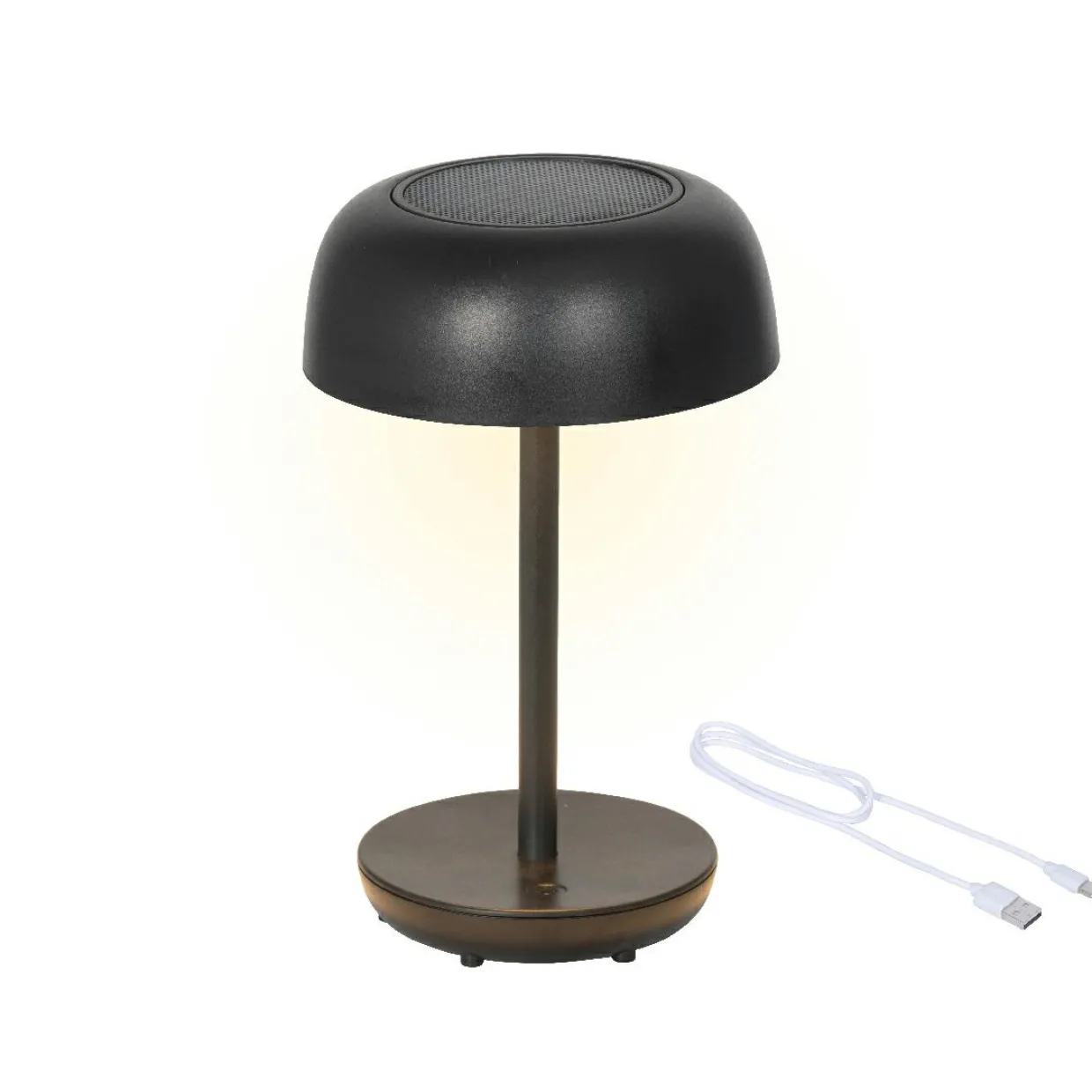 Lampe de table solaire 100 lumens (H29 cm) Singapour Noir