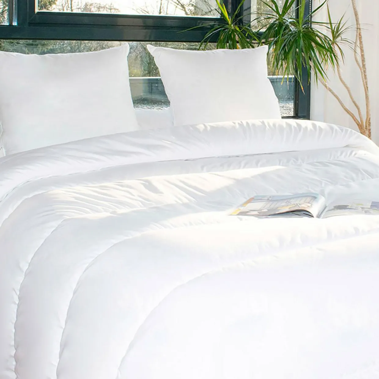 Lot Couette chaude anti-acariens (280 x 240 cm) + 2 Oreillers (60 x 60 cm) Comète Blanche