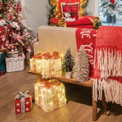 Lot de 3 cadeaux lumineux 65 LED (H25 cm) Santa blanc et Blanc chaud