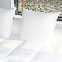 Oreiller carré (60 x 60 cm) Mémoire de forme Blanc