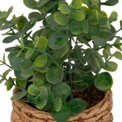 Plante artificielle en pot cimenté (H27 cm) Eucalyptus Jaye