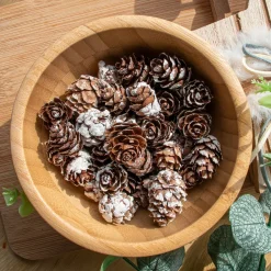 Sachet de pommes de pin (45 gr) Naturel