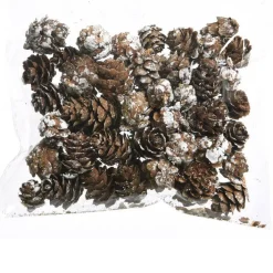 Sachet de pommes de pin (45 gr) Naturel