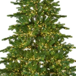 Sapin de Noël artificiel lumineux 5400 LED (H240 cm) Caucasia Nordmann Vert sapin