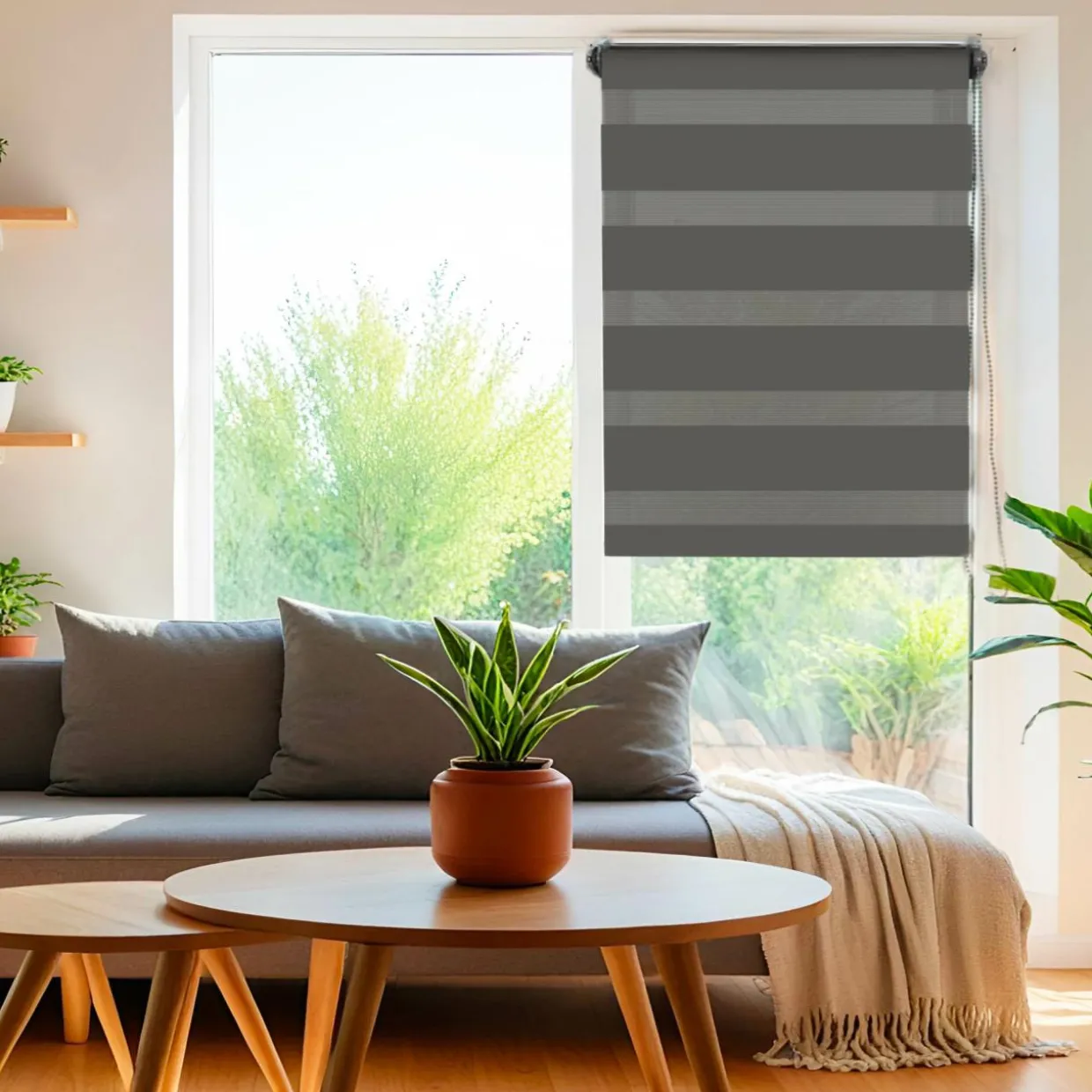 Store enrouleur Jour/Nuit (60 x 180 cm) Gris anthracite