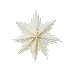 Suspension de Noël en papier (D30 cm) Étoile glacée Blanc