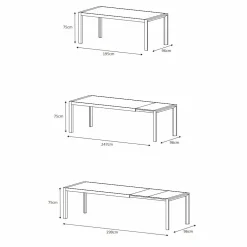 Table de jardin extensible en aluminium 12 places (195/300 x 96 cm) Amalfi Gris anthracite