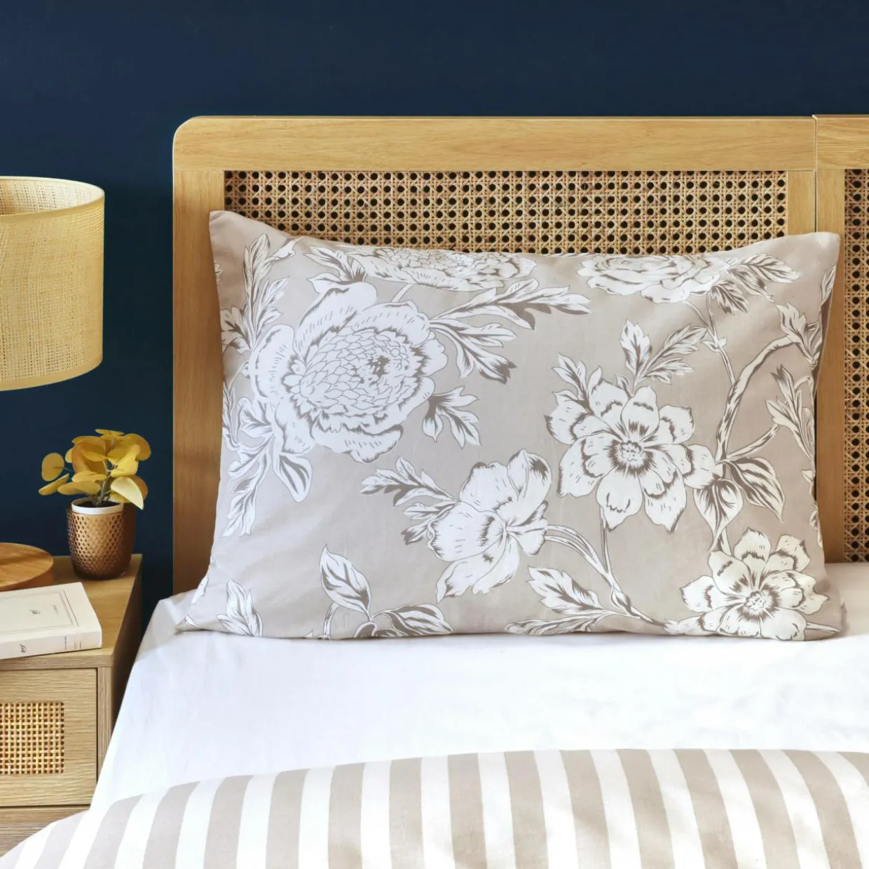 Taie d'oreiller Rectangulaire Coton (50 x 70 cm) Lara Beige